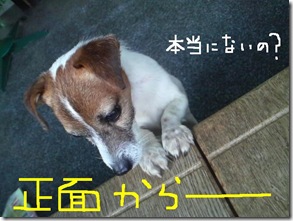 今日カズ081216　11