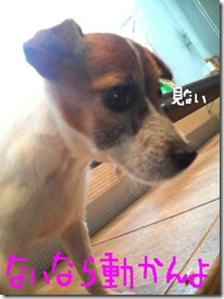 今日カズ081217　2