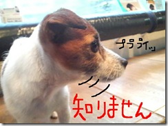今日カズ081217　3