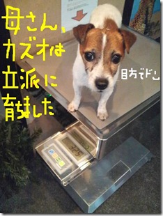 今日カズ081217　4
