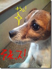 今日カズ081217　5