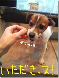 今日カズ081217　6