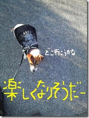 今日カズ081219　2