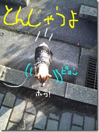 今日カズ081219　3