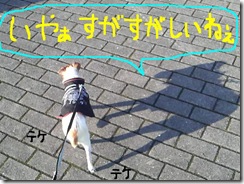 今日カズ081219　5