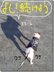 今日カズ081219　7