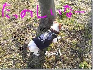 今日カズ081219　9