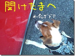 今日カズ081219　10
