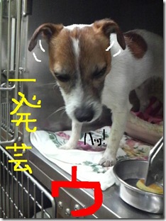 今日カズ081220　4