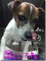 今日カズ081222　3