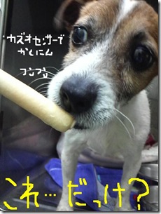 今日カズ081222　4