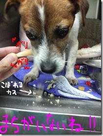 今日カズ081222　6