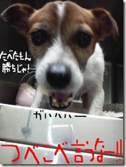 今日カズ081222　7