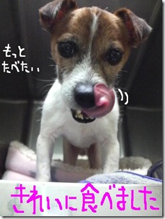 今日カズ081222　8