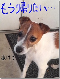 今日カズ081223　2