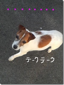 今日カズ081223　3