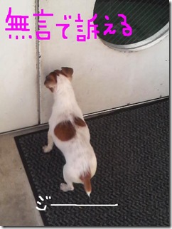 今日カズ081223　4