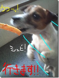 今日カズ081223　7