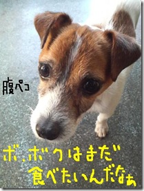 今日カズ081223　9