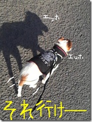 今日カズ081224　1