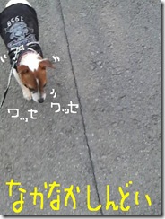今日カズ081224　2