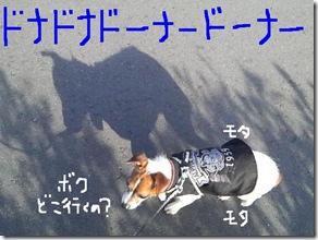今日カズ081224　4