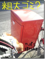 今日カズ081224　6