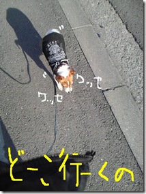 今日カズ081224　7