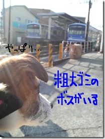 今日カズ081224　8