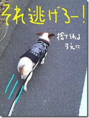 今日カズ081224　9