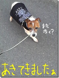 今日カズ081224　11