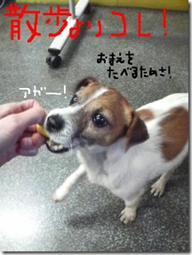 今日カズ081224　13