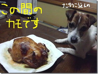 今日カズ081226　1