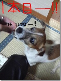 今日カズ081226　2
