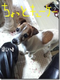 今日カズ081226　4
