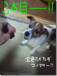 今日カズ081226　5