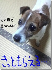 今日カズ081226　8