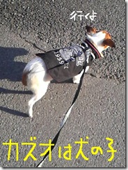 今日カズ081226　9