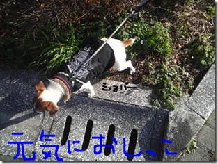 今日カズ081226　10