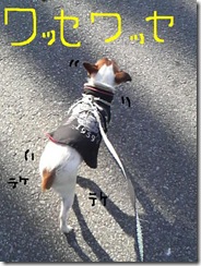 今日カズ081226　11
