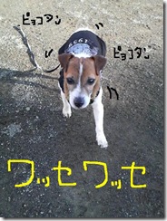 今日カズ081226　12