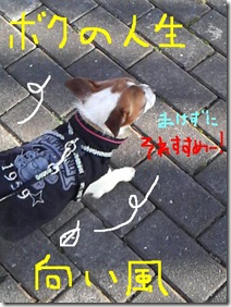 今日カズ081226　14