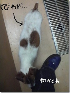 今日カズ081226　15