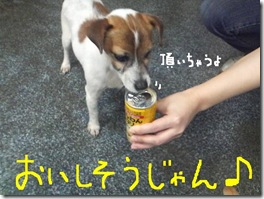 今日カズ081227　1