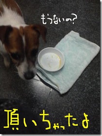 今日カズ081227　2
