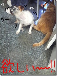今日カズ081227　3