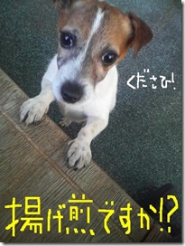 今日カズ081227　4