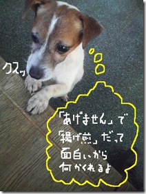 今日カズ081227　5