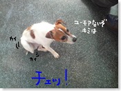 今日カズ081227　6