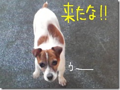 今日カズ081229　1